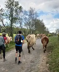 Marche de printemps dans le centre de la France